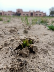 new life concept