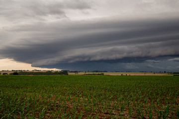 Shelf Cloud 