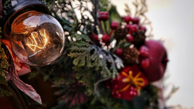 Close-up Of Light Bulb By Christmas Tree