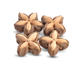 Star Bean Inca isolate on white background