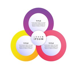 Vector infographics timeline design template with 3d paper label can be used for workflow with 3 options