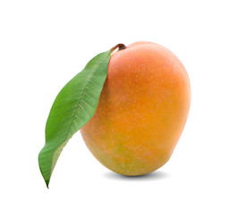 mango isolated on white background