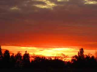Atardecer. Cielo y árboles. Colores. Fotografía de paisajes.
