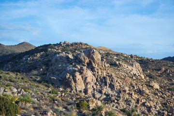 Fototapeta na wymiar 조슈아 트리 국립공원의 언덕, 푸른 초목과 거대한 바위들이 있는 조슈아 트리 국립공원