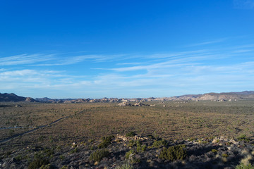드넓은 대지가 펼쳐진 조슈아 트리 국립공원,  조슈아 트리와 거대한 바위들이 펼쳐져 있는 뷰