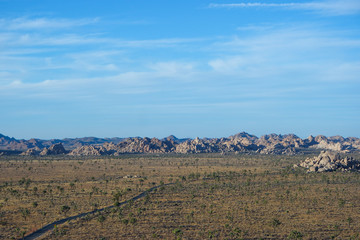 드넓은 대지가 펼쳐진 조슈아 트리 국립공원,  조슈아 트리와 거대한 바위들이 펼쳐져 있는 뷰