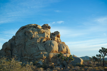 조슈아 트리와 거대한 바위, 거대한 암석들 