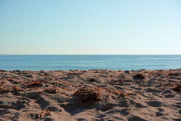 Fototapeta na wymiar 말리부 비치의 모래사장, Sandy beach