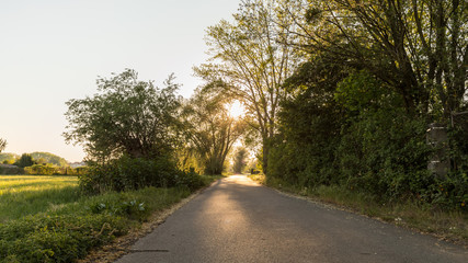 Summer rural landscape in Alsace