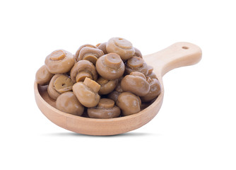 Fresh raw champignon mushrooms on white background