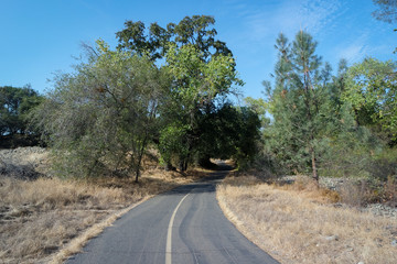 맑은 날 평화로운 트레킹 길 