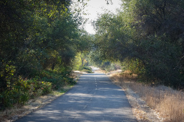 맑은 날 평화로운 트레킹 길 