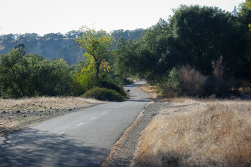 맑은 날 평화로운 트레킹 길 