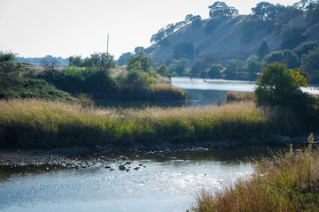 맑은 날 호수와 나무의 조화로운 풍경