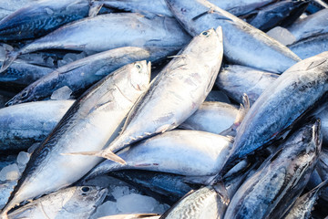 Bundle of tuna sea fish sell in fresh market