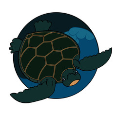 Sea Turtle