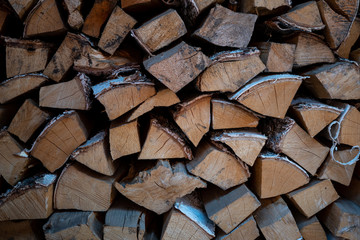 Harvested birch firewood is stacked in a neat woodpile