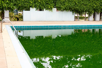 The pool is not clean due to lack of cleaning and maintenance.