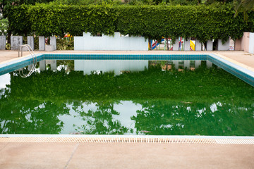The pool is not clean due to lack of cleaning and maintenance.