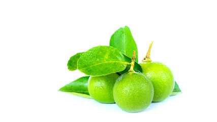 Fresh lime isolated on white background.