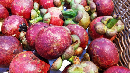 Mangosteen is a delicious fruit