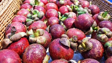 Mangosteen is a delicious fruit