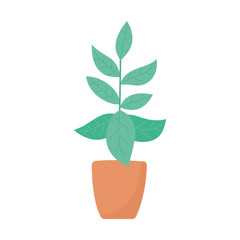 potted plant decoration isolated icon on white background