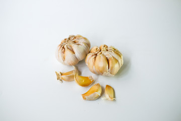 Garlic or Allium sativum isolated on white background.