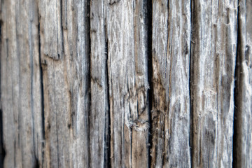 close up of old grey wood texture for design and decoration,background with natural patterns