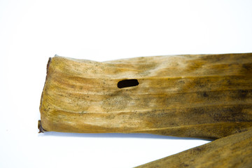 Dried banana leaf isolated on white background