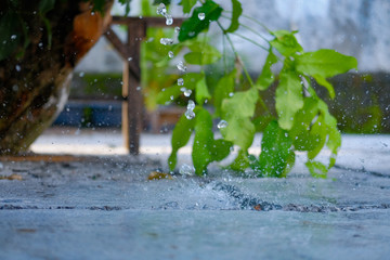 water drop speed shutter photography