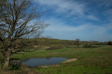 Fototapeta premium idyllische Kulturlandschaft mit Hügeln und Wald in den Hüttener Bergen im Frühling