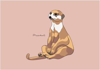 Vector Illustration of Meerkat / Suricate