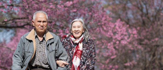 Happy old couple smiling in a park.mature couple with cherry blossom sakura tree.seniors lover...