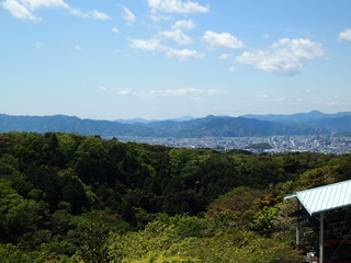 Fototapeta premium ＜静岡＞静岡市街を一望