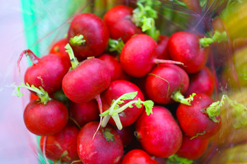 Red round Radish with fresh green leaves in plastic bag