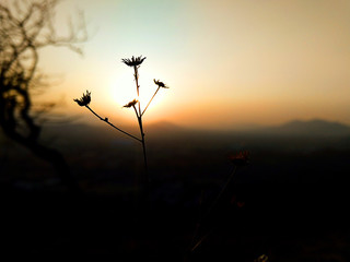 sunset in the mountains