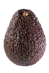 Avocados on white background