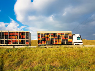 truck transfers crates in sping season road grass and clouds