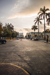 palm trees at sunset