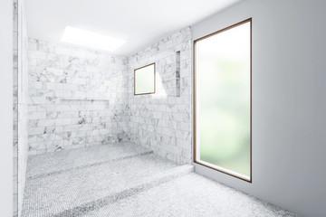Empty Luxury Bathroom after Renovation - 3d visualization