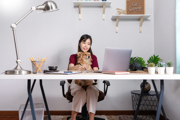 beautiful young asian woman working remotely from home and smiling while lying, has good relationships with with a funny assistant dog pet, home work pets concept.