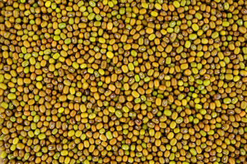 Raw uncooked mung bean background, also known as green gram and maash