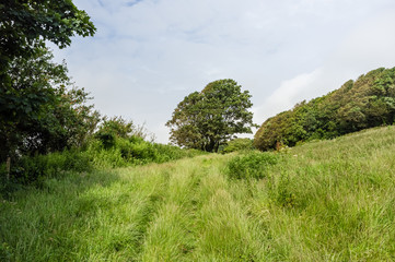 Circular Walk between Torcross and Beesands