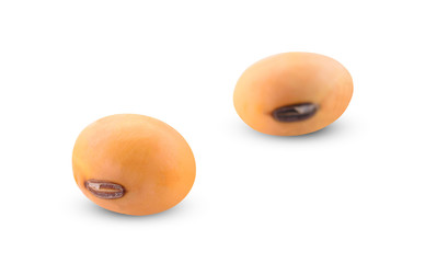 Soybean isolated on white background