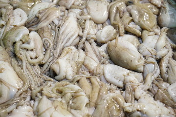 FRESH SQUID ON A TRAY. CLOSE-UP SQUID OR SPLENDID SQUID : (LOLIGO SPP.) LINED UP BEAUTIFULLY ON A STALL IN A TRADITIONAL VIETNAM AND THAILAND FISHERY MARKET. SELECTIVE FOCUS
