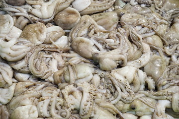 FRESH SQUID ON A TRAY. CLOSE-UP SQUID OR SPLENDID SQUID : (LOLIGO SPP.) LINED UP BEAUTIFULLY ON A STALL IN A TRADITIONAL VIETNAM AND THAILAND FISHERY MARKET. SELECTIVE FOCUS