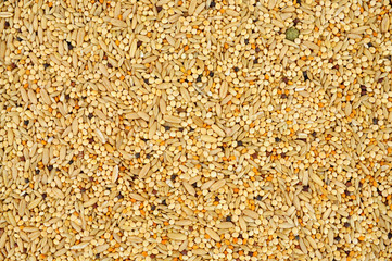 Mixed bird seed texture background with grains and cereals pet food