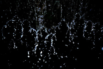 Close up of the water drop on black background. Movement of the drop water.White liquid is driping onto the black background.