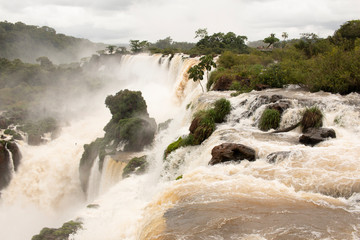 Waterfall in Iguazu Falls